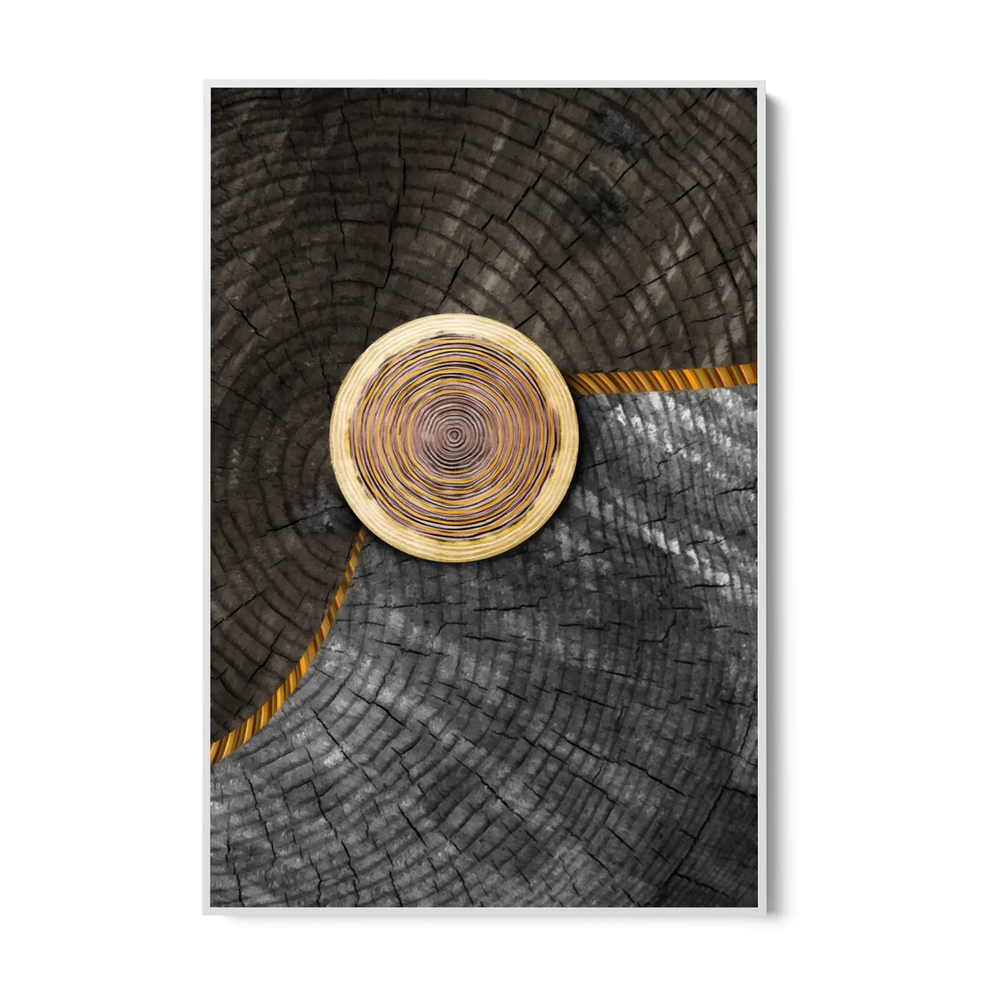 Anelli Vitali - Image 11