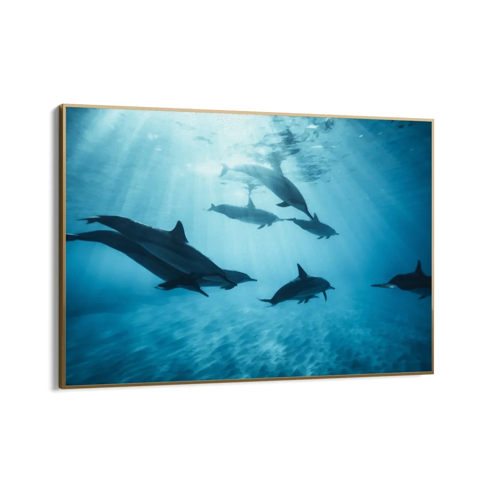 Armonia Acquatica - Image 9