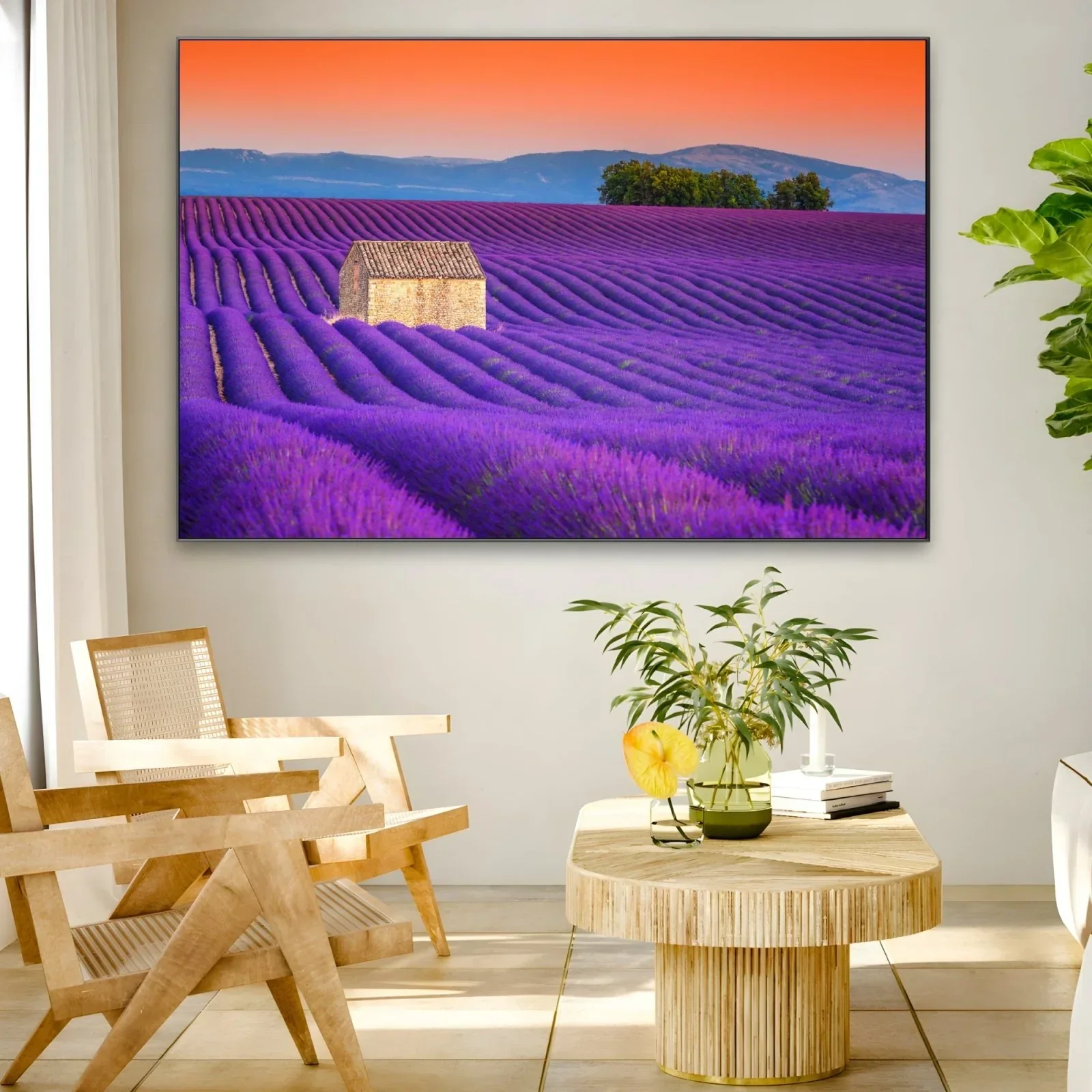 Campi di Lavanda, Valensole