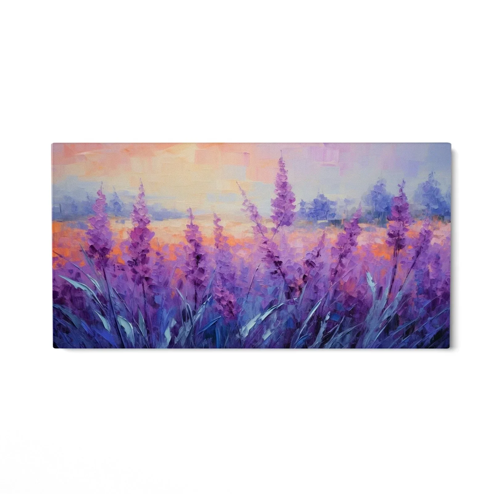 Campo di lavanda - Image 4