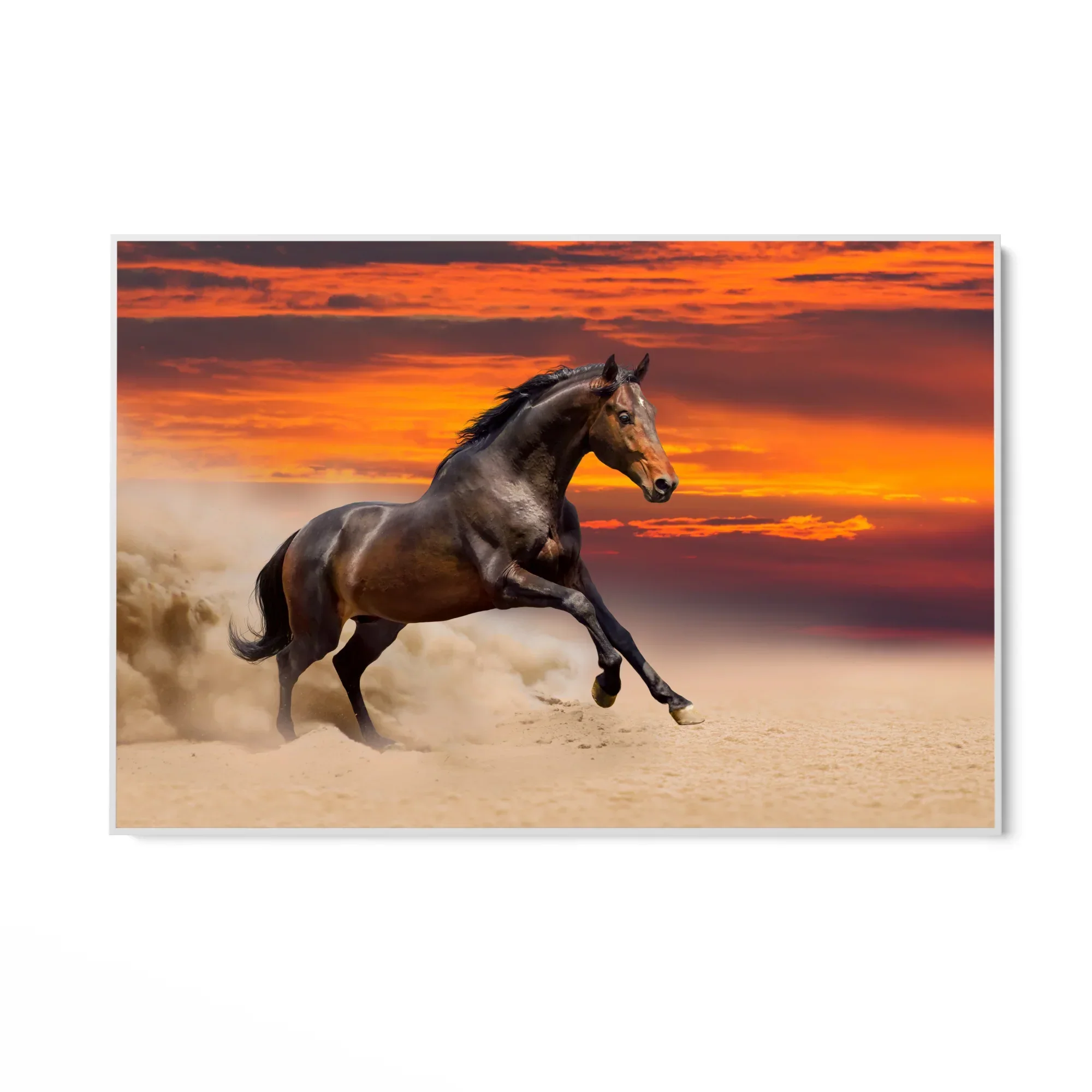 Furia al tramonto - Image 4