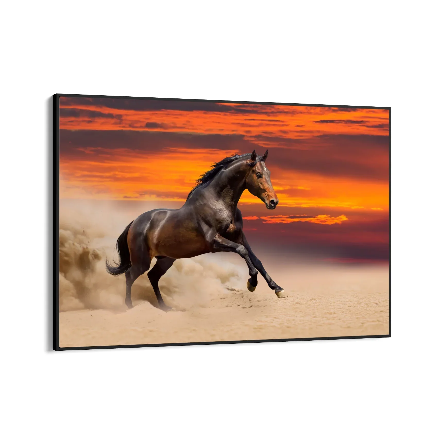 Furia al tramonto - Image 9