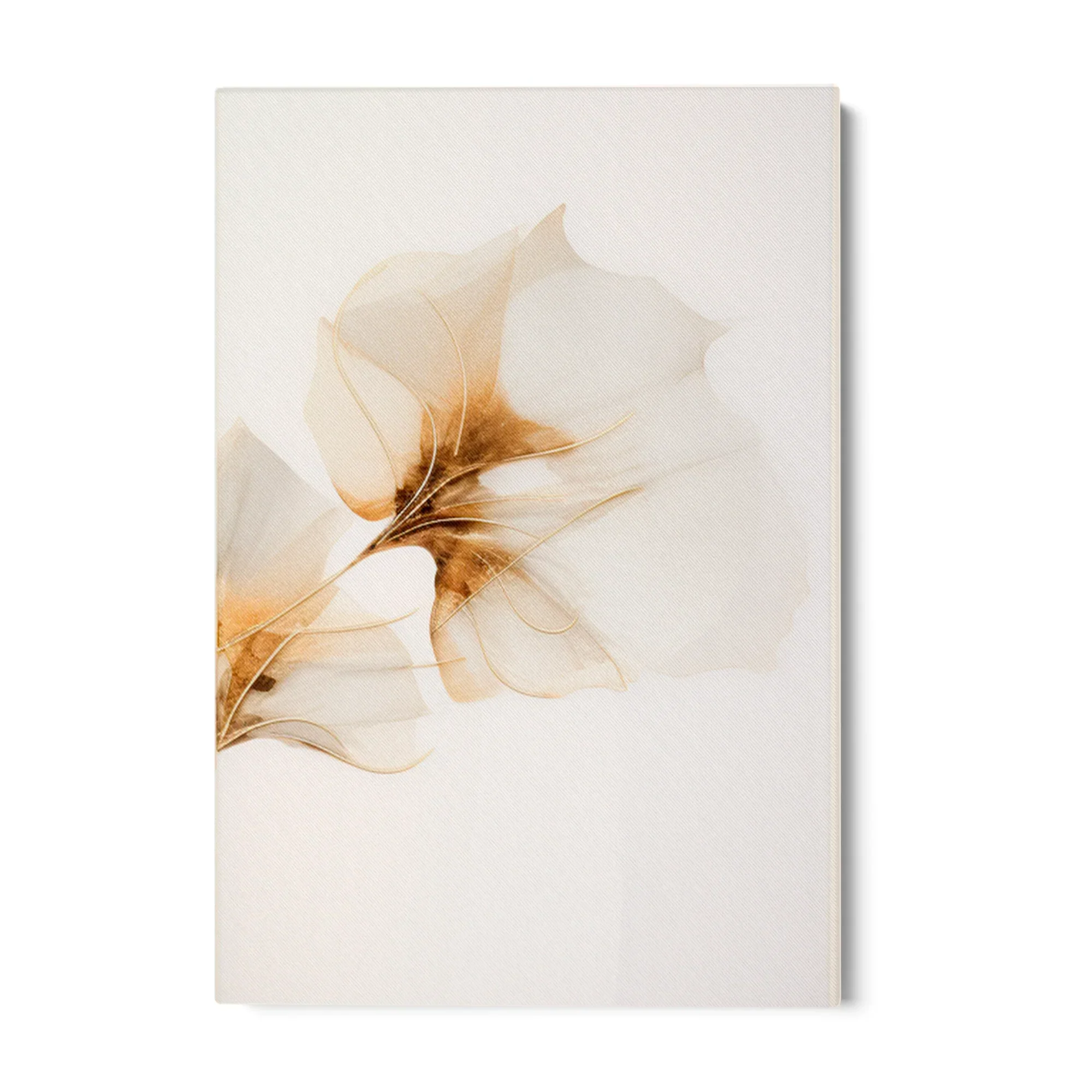 Gardenia dorata - Image 22