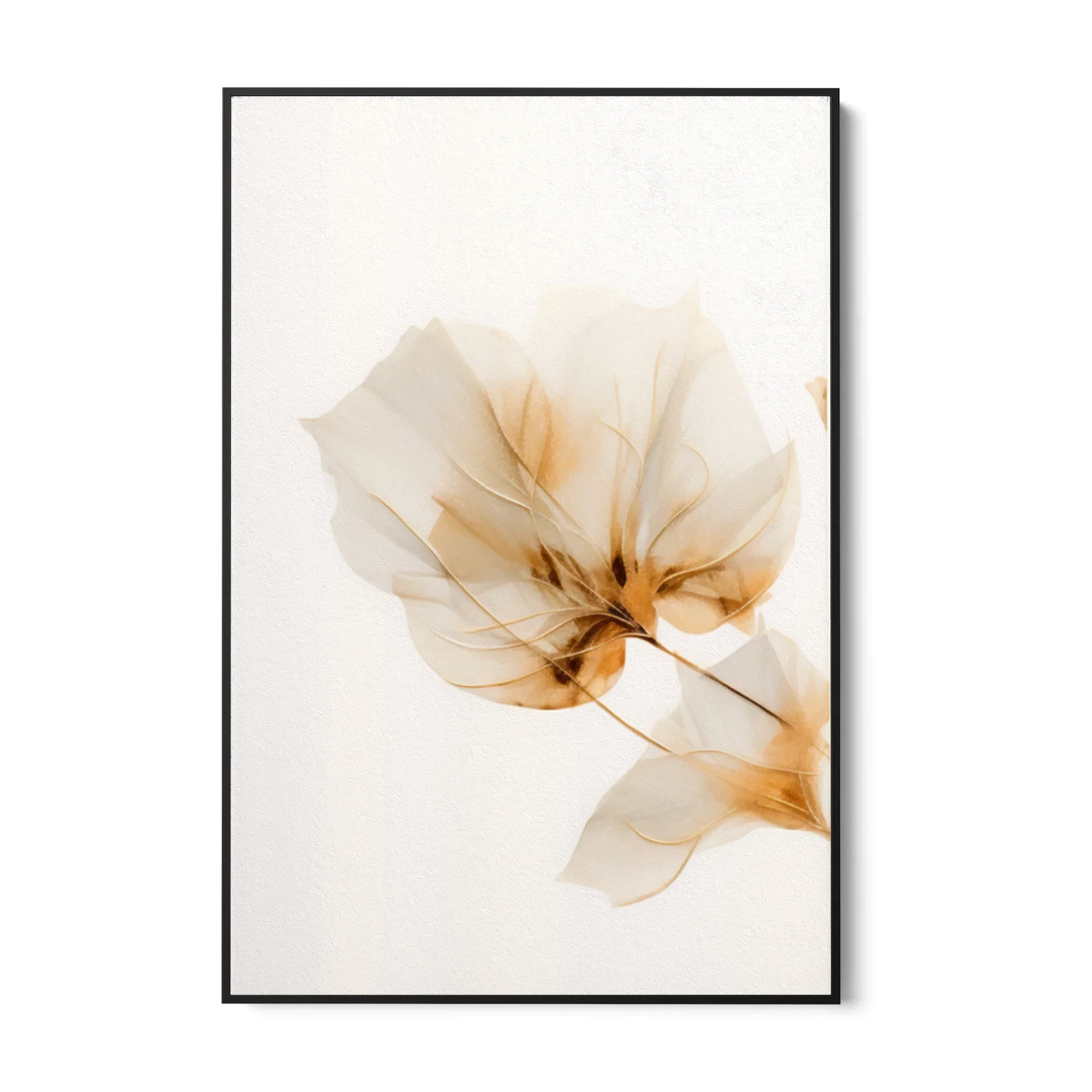 Gardenia dorata - Image 8