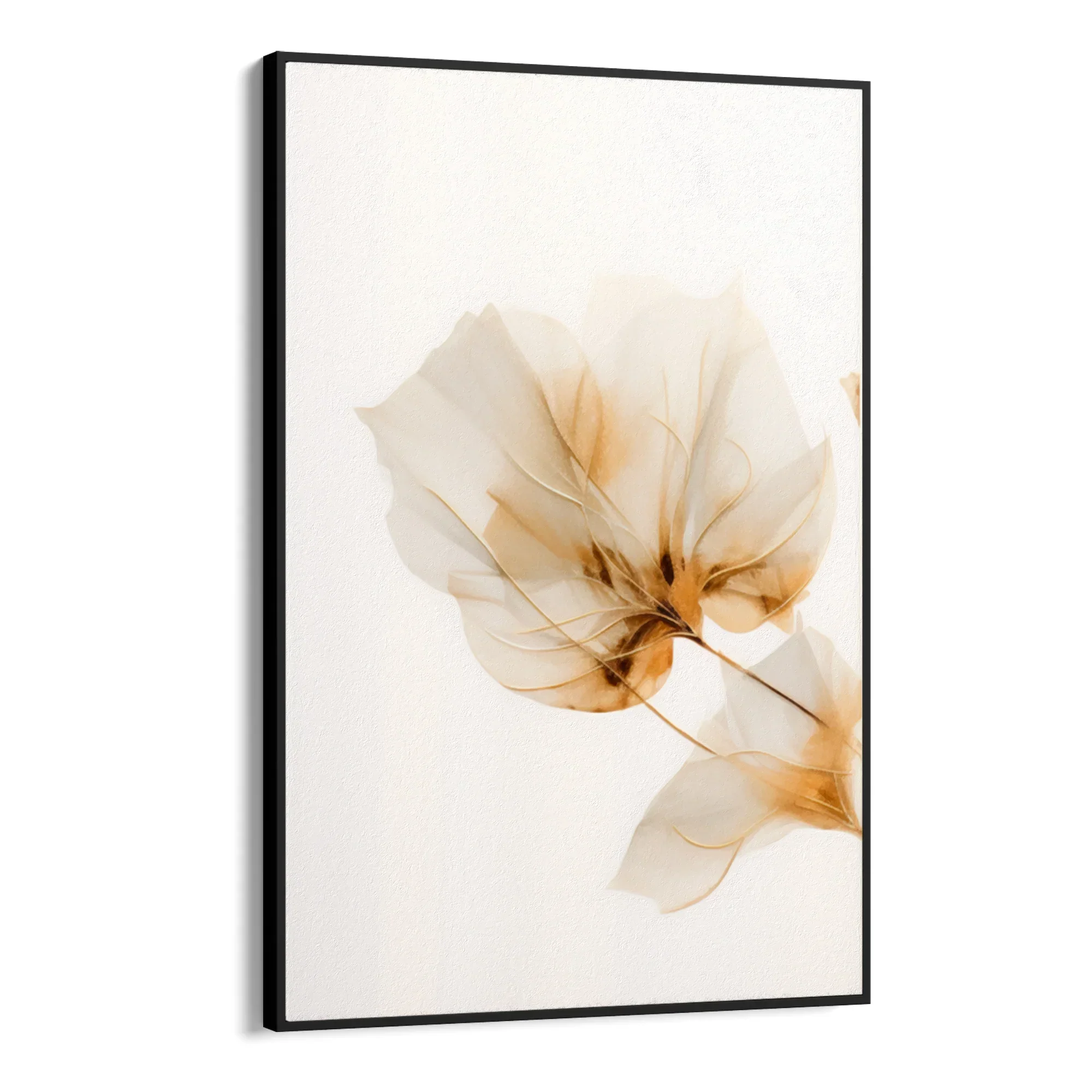 Gardenia dorata - Image 9
