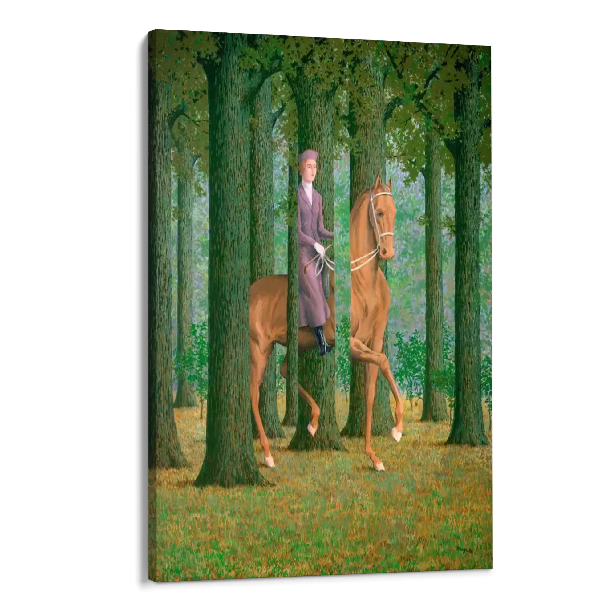 La Firma in Bianco, René Magritte - Image 8