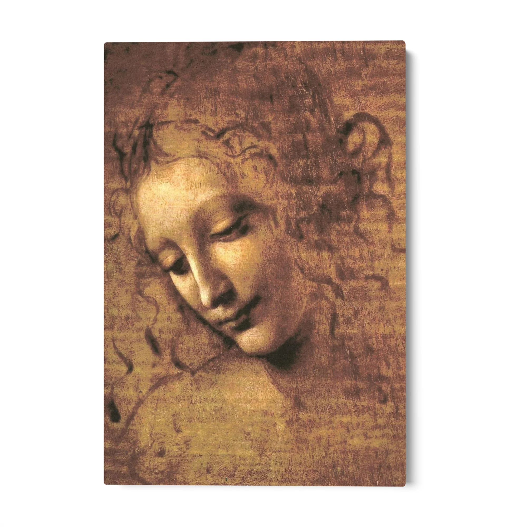 La Scapigliata, Leonardo da Vinci - Image 6