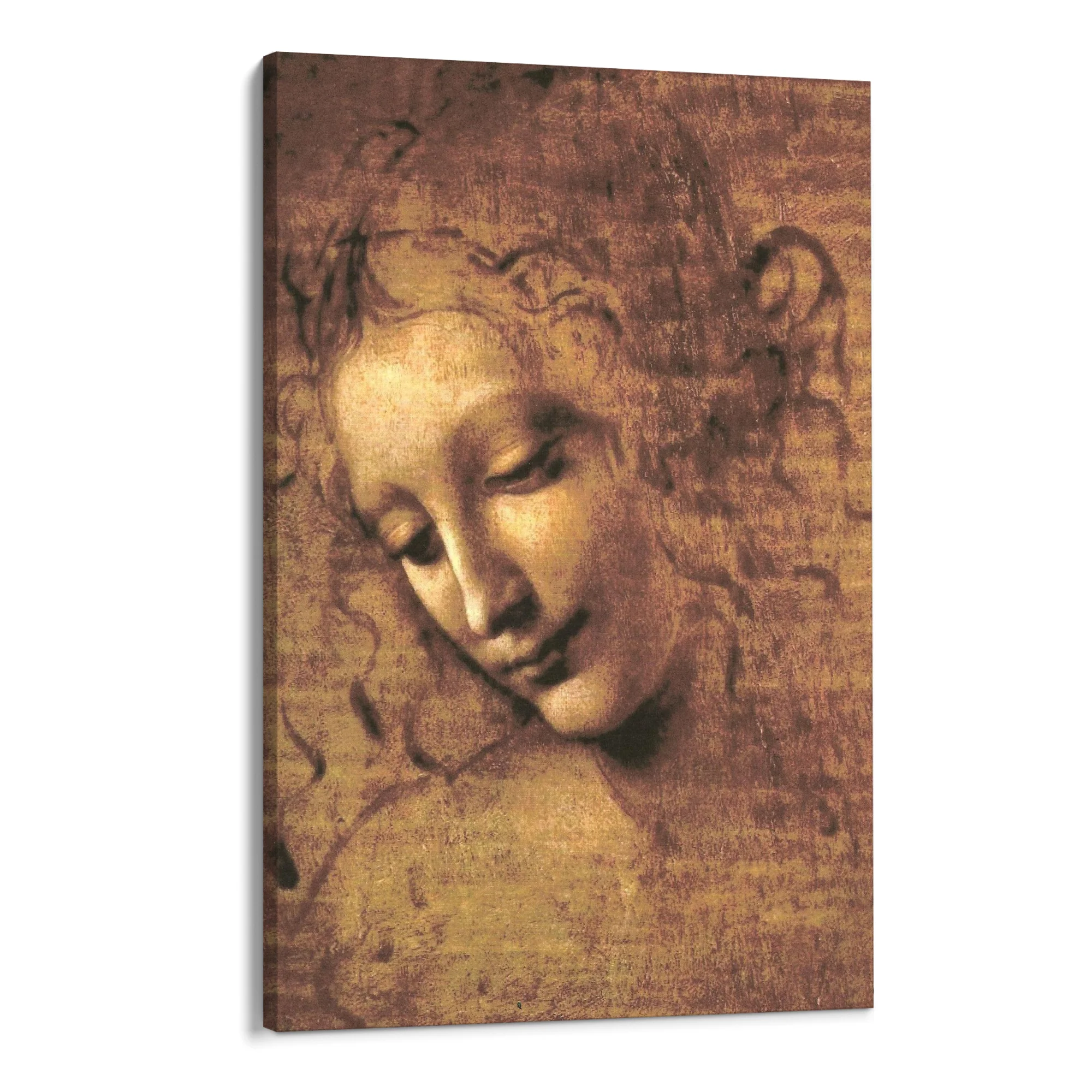 La Scapigliata, Leonardo da Vinci - Image 8