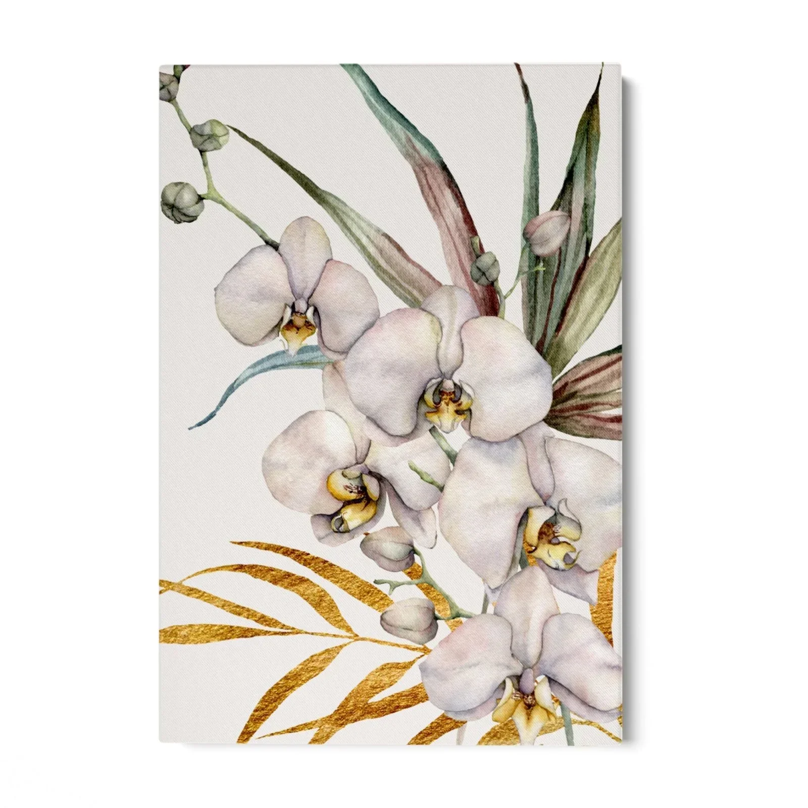 Orchidea Tropicale - Image 14