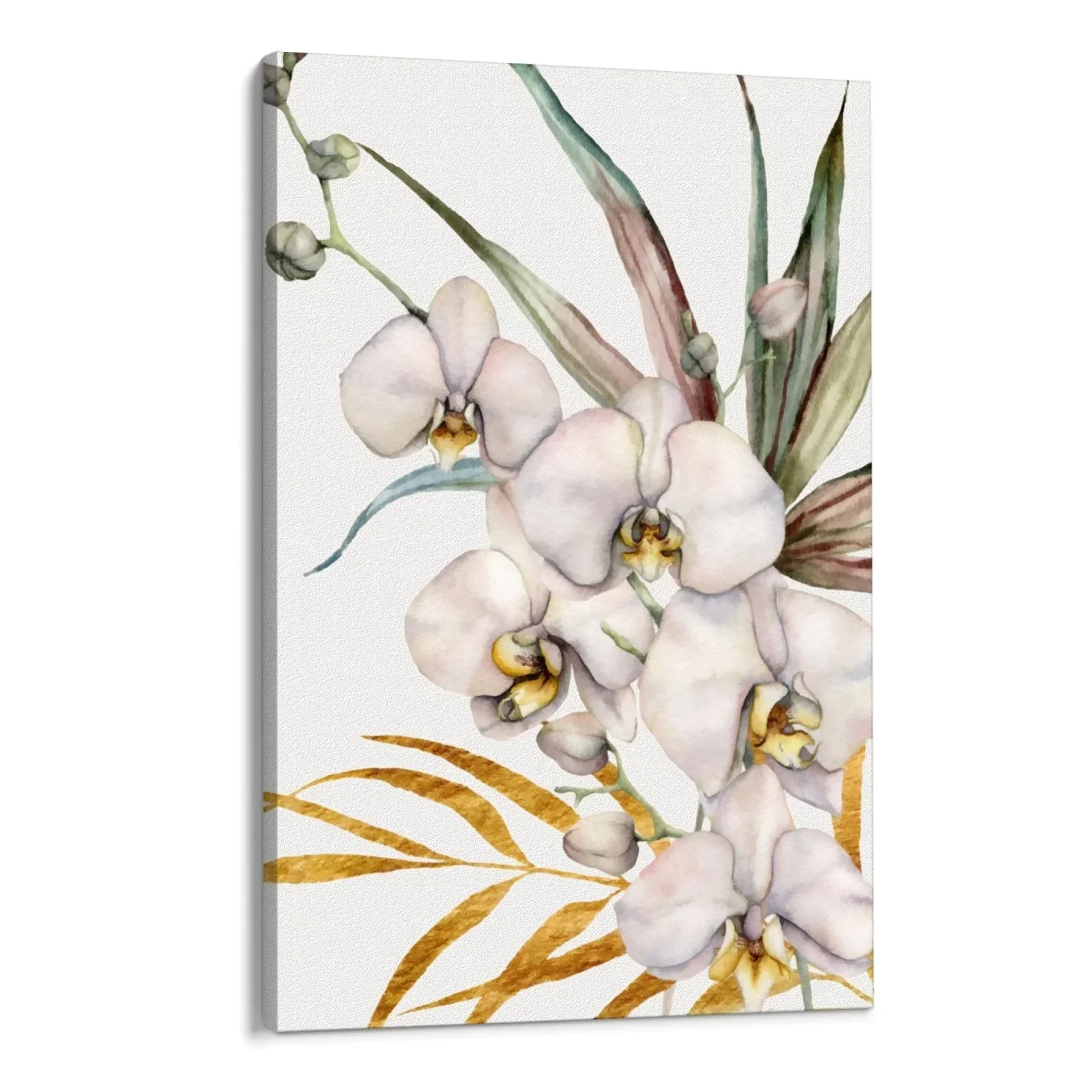 Orchidea Tropicale - Image 15