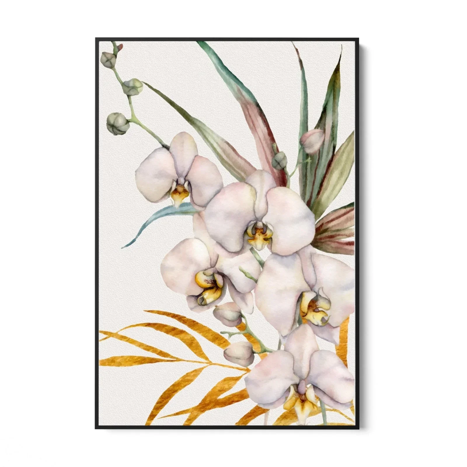 Orchidea Tropicale - Image 16