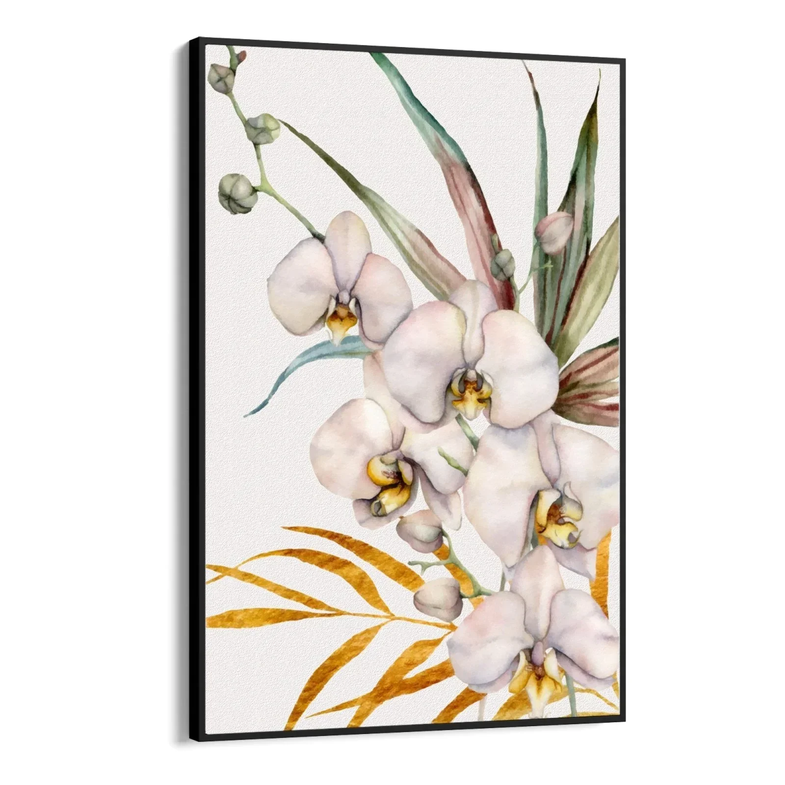 Orchidea Tropicale - Image 17
