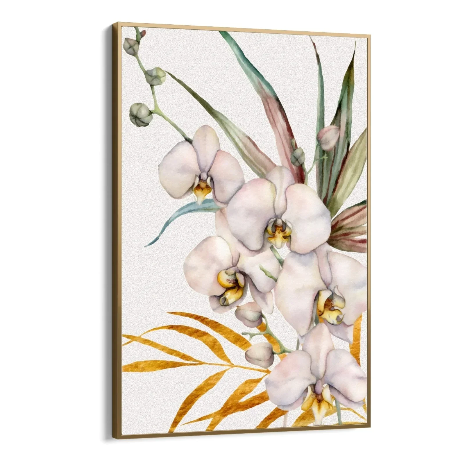 Orchidea Tropicale - Image 19