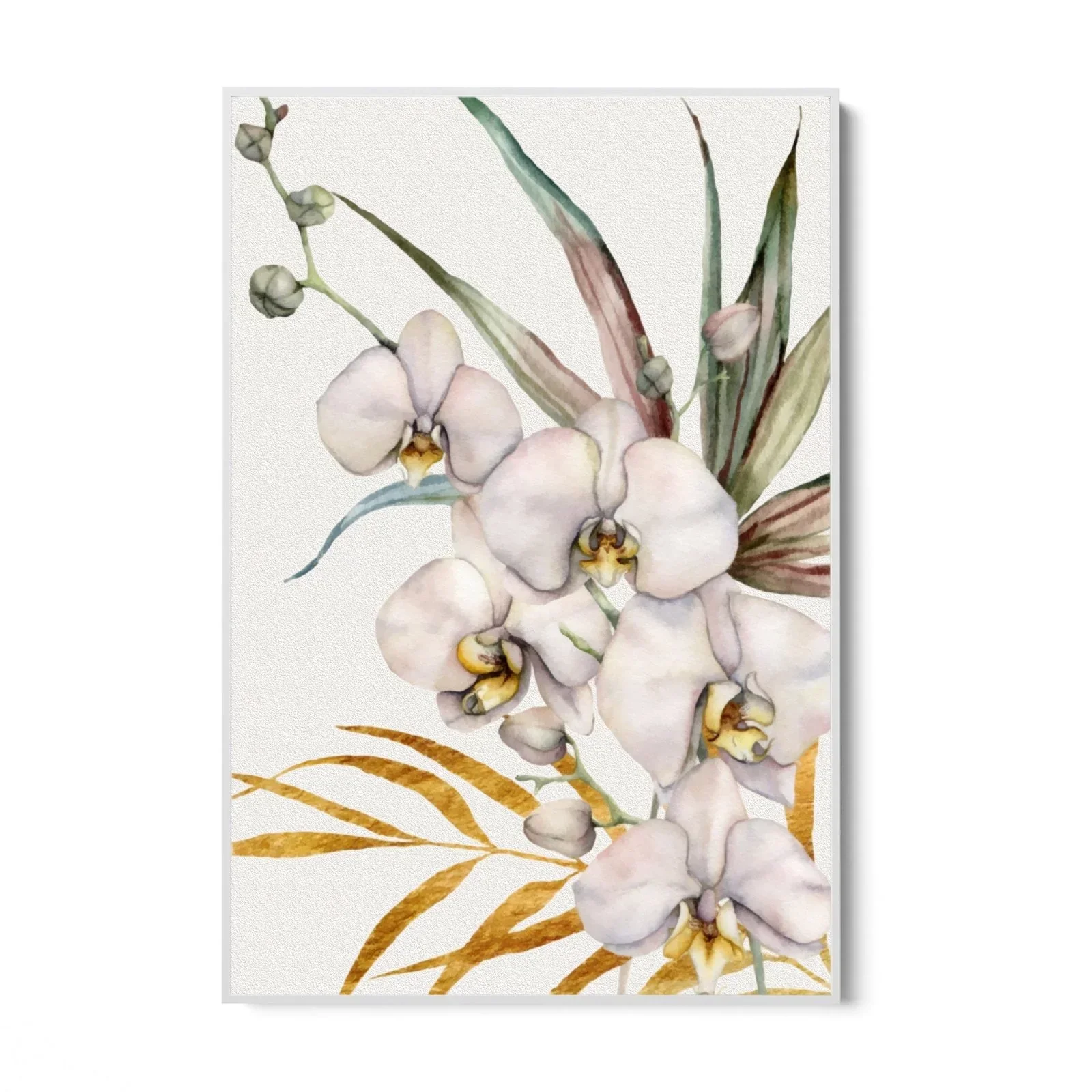 Orchidea Tropicale - Image 20