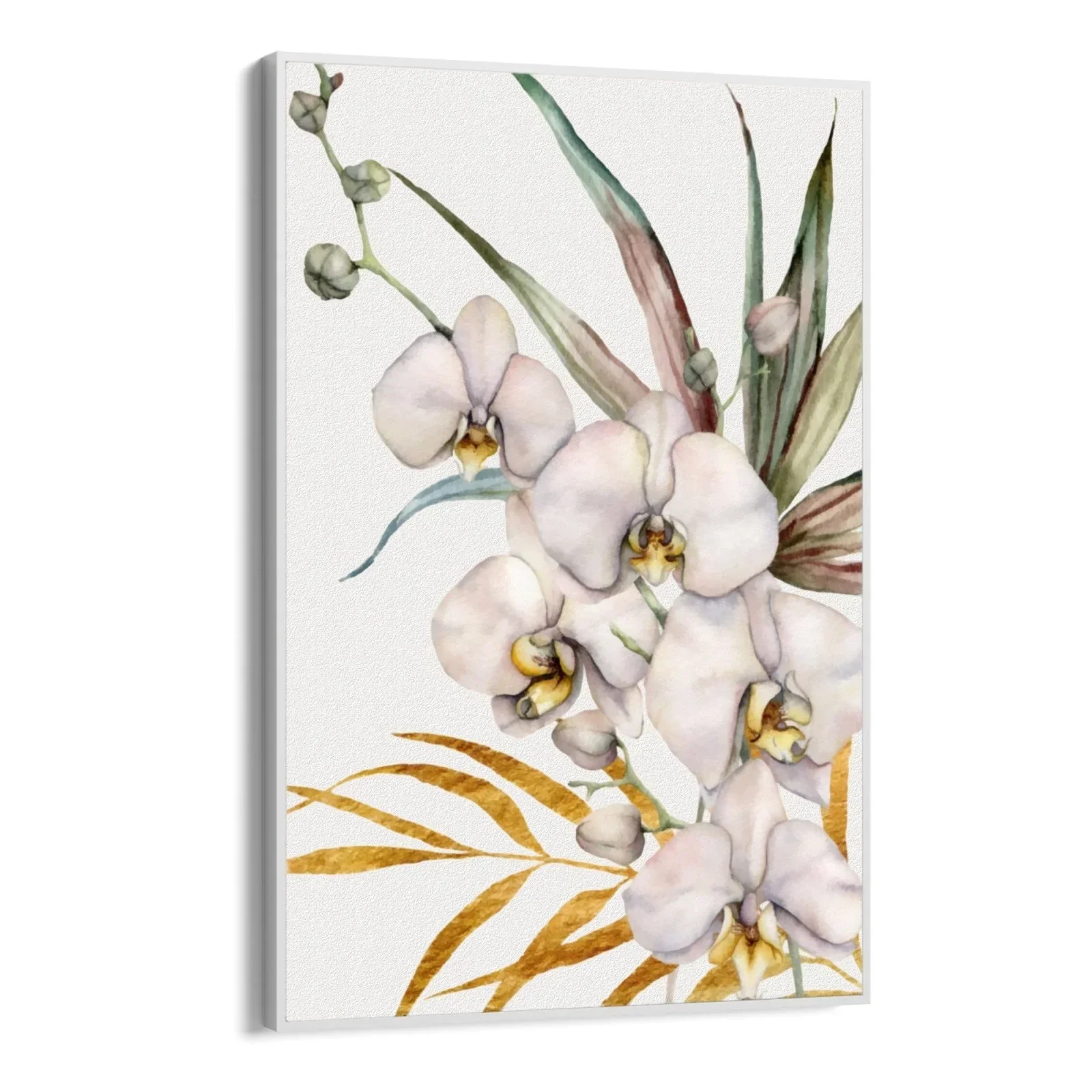Orchidea Tropicale - Image 21