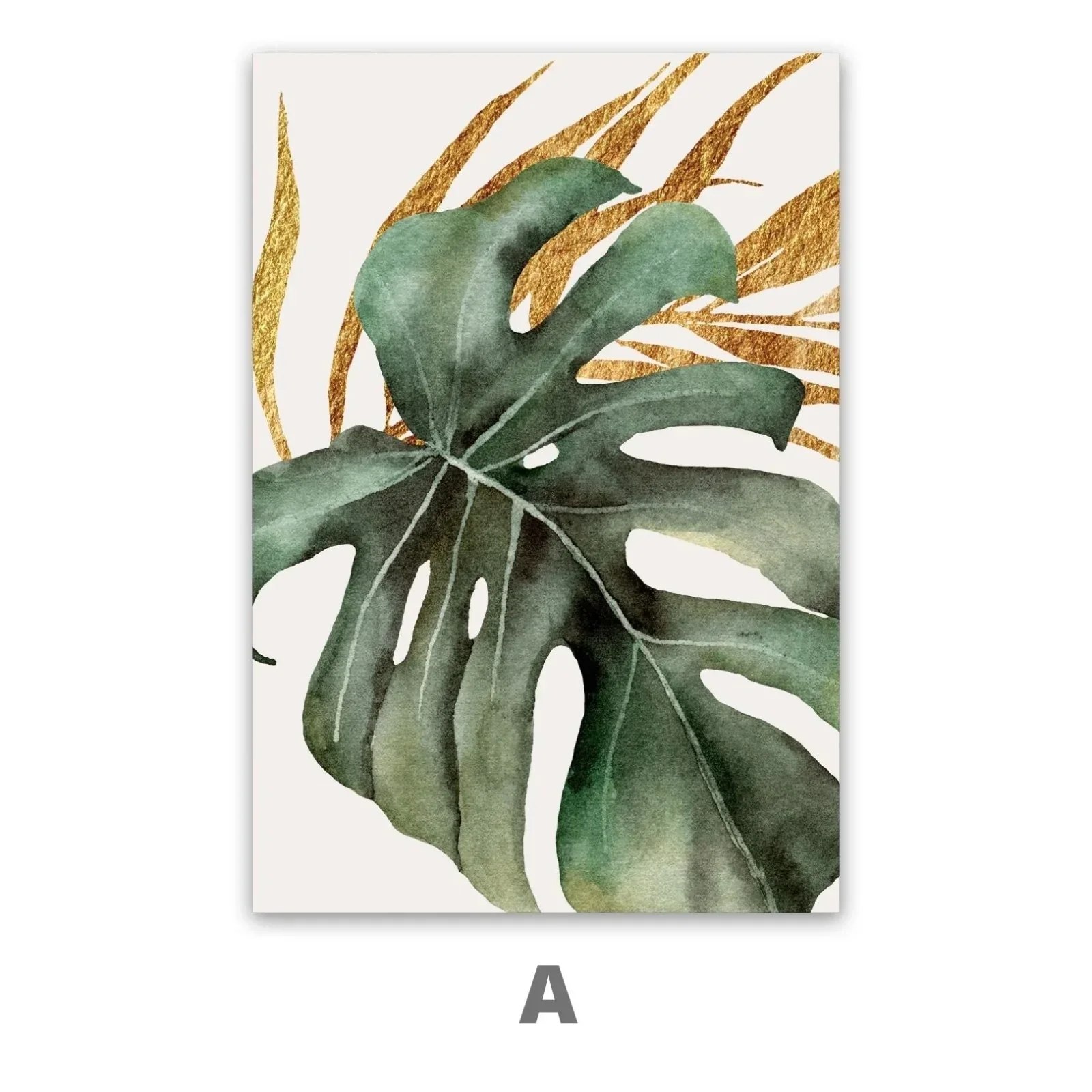 Orchidea Tropicale - Image 4