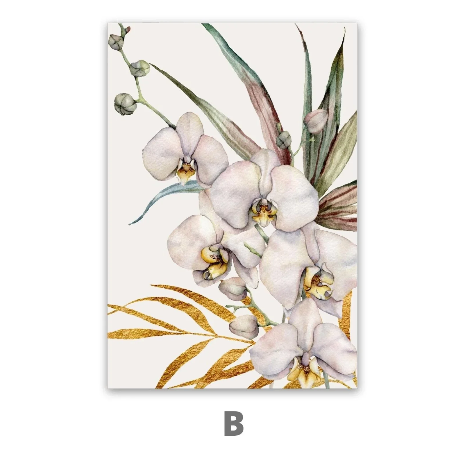 Orchidea Tropicale - Image 5