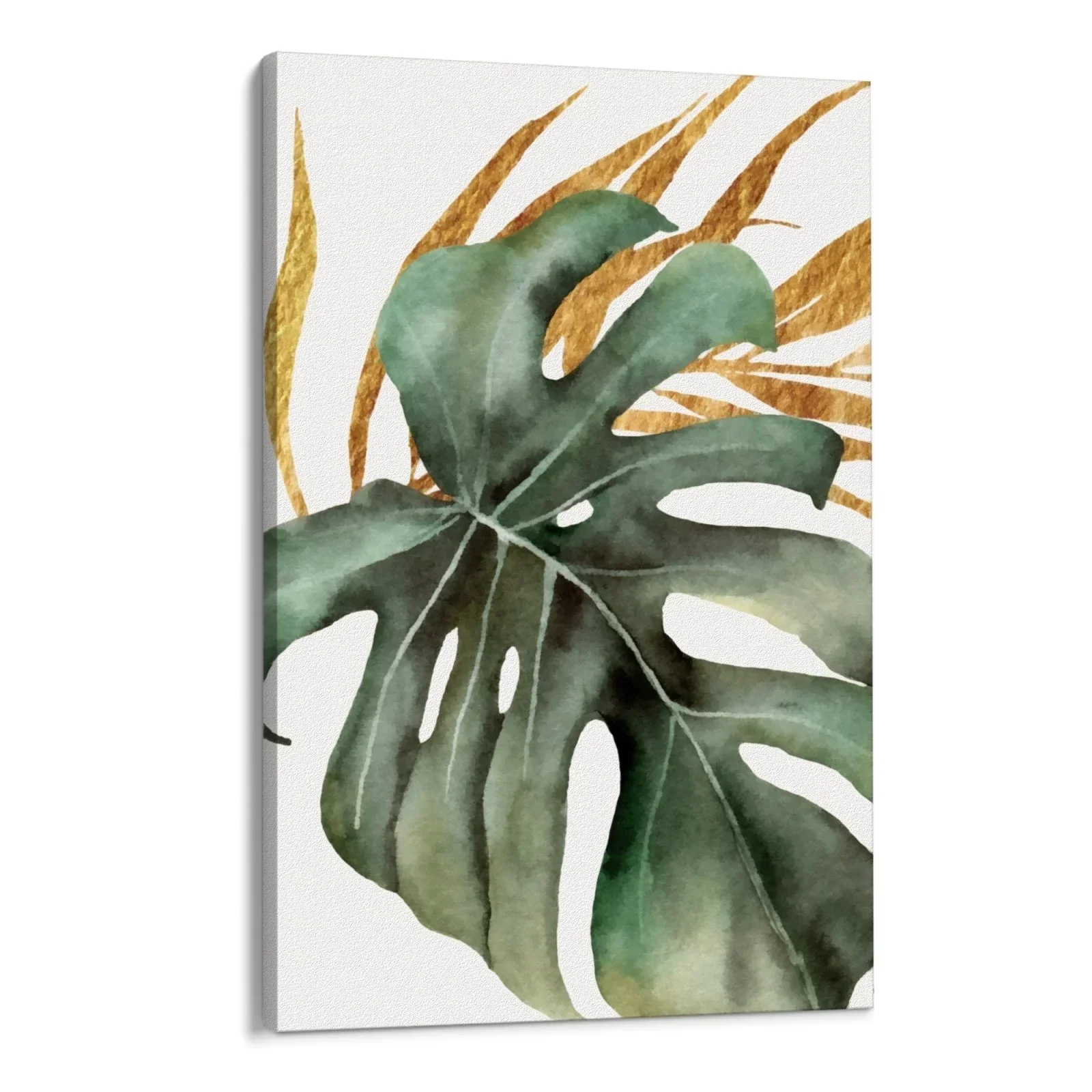 Orchidea Tropicale - Image 7