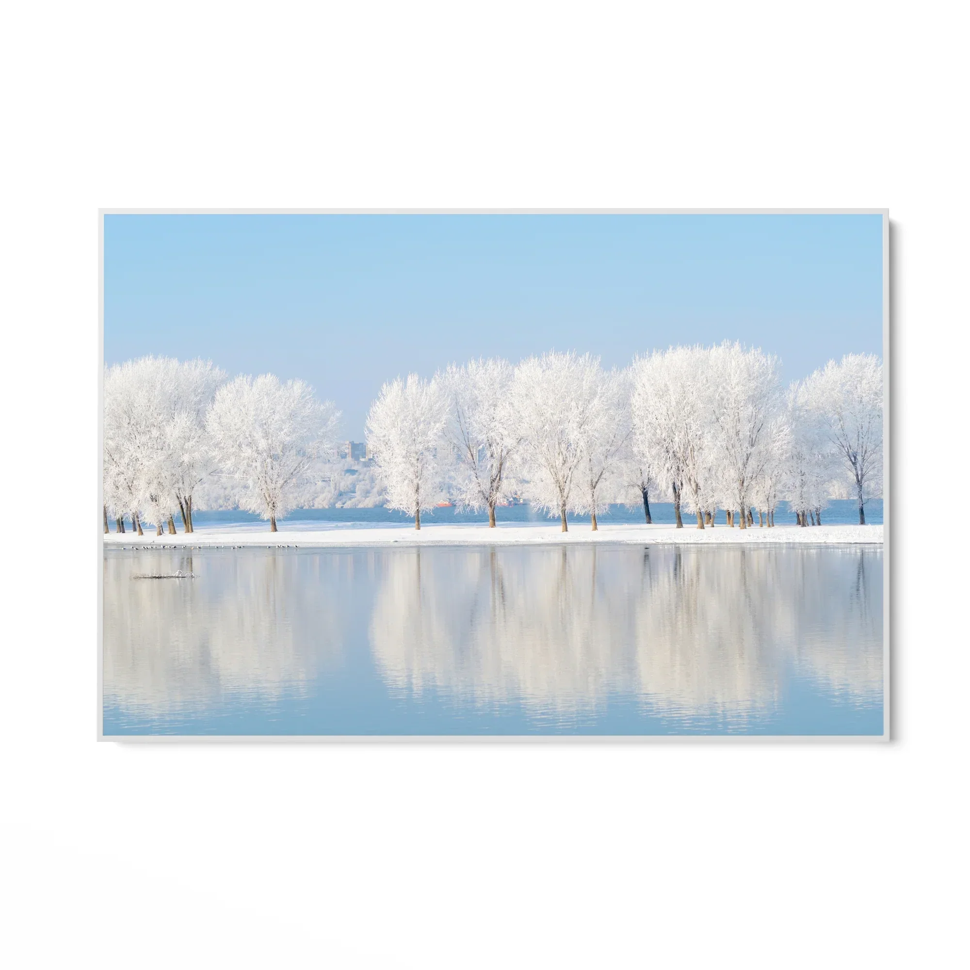 Riflessi d’inverno - Image 7