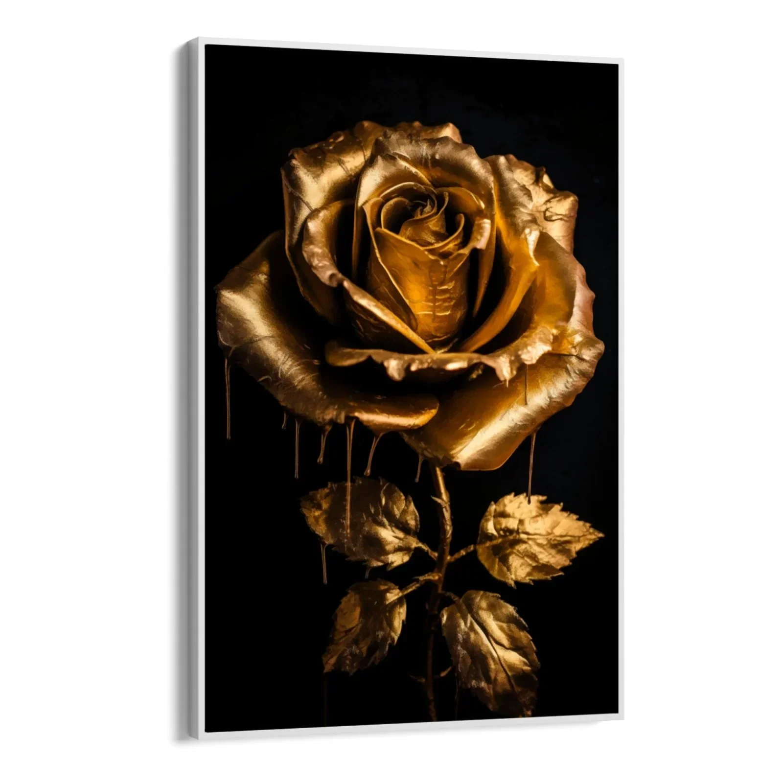 Rosa - Image 10