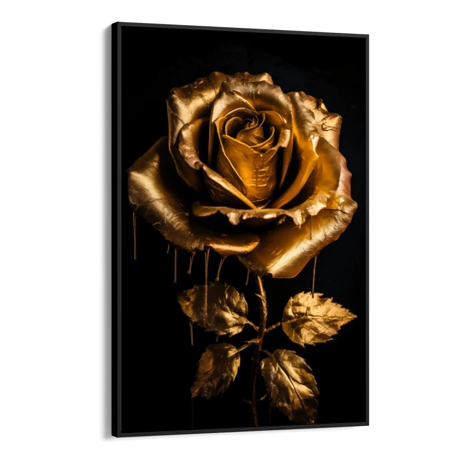 Rosa - Image 6