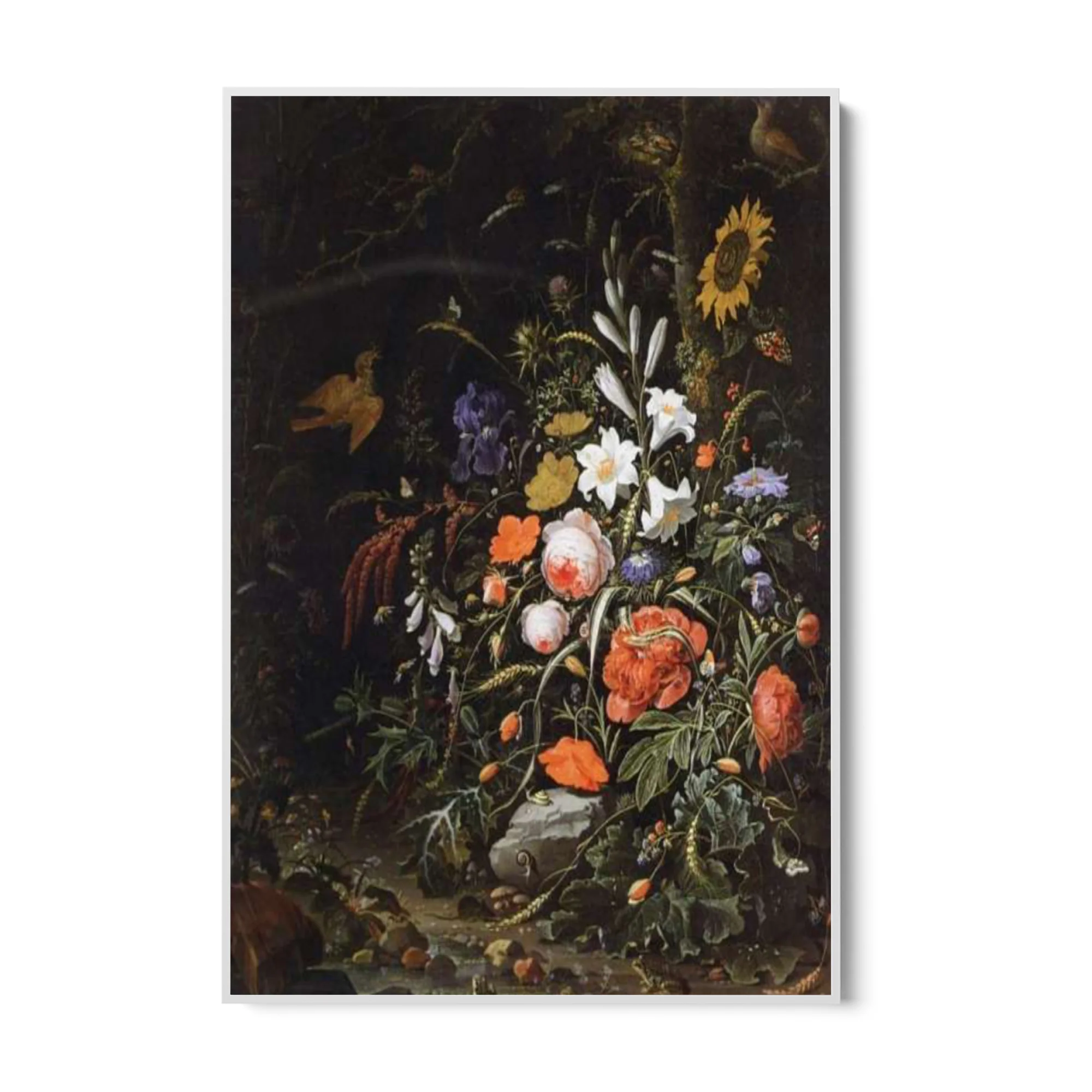 Rose e Lillà, Abraham Mignon - Image 6