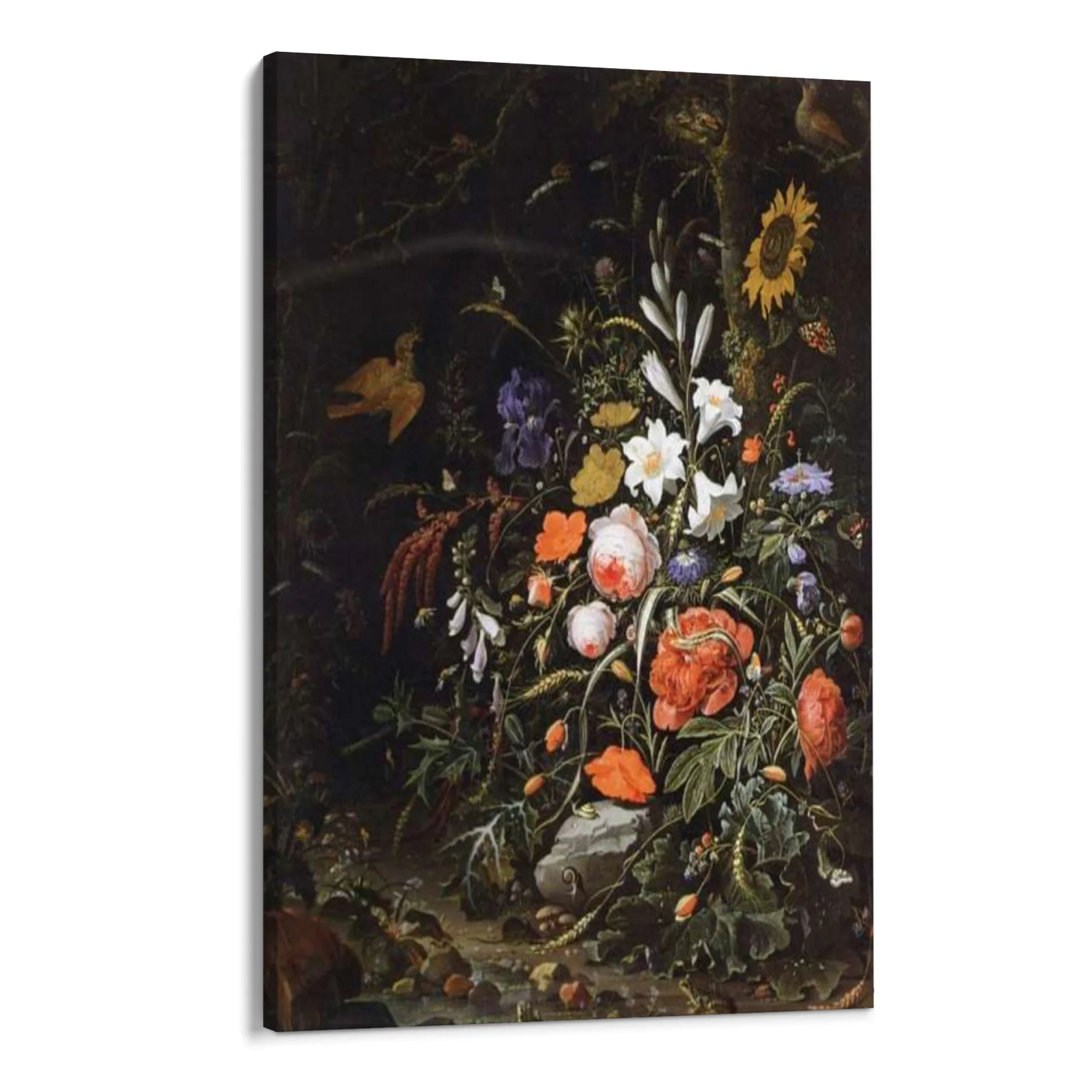 Rose e Lillà, Abraham Mignon - Image 8