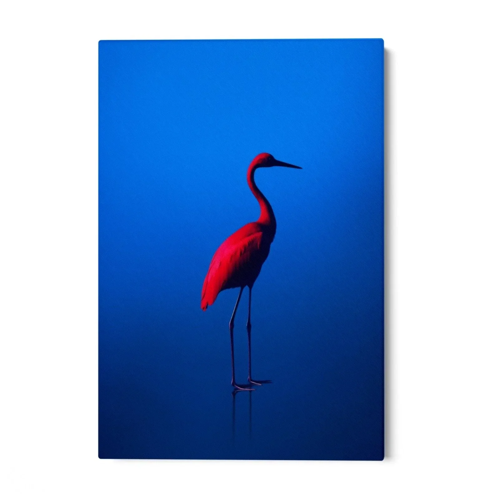 Rosso Blu - Image 2