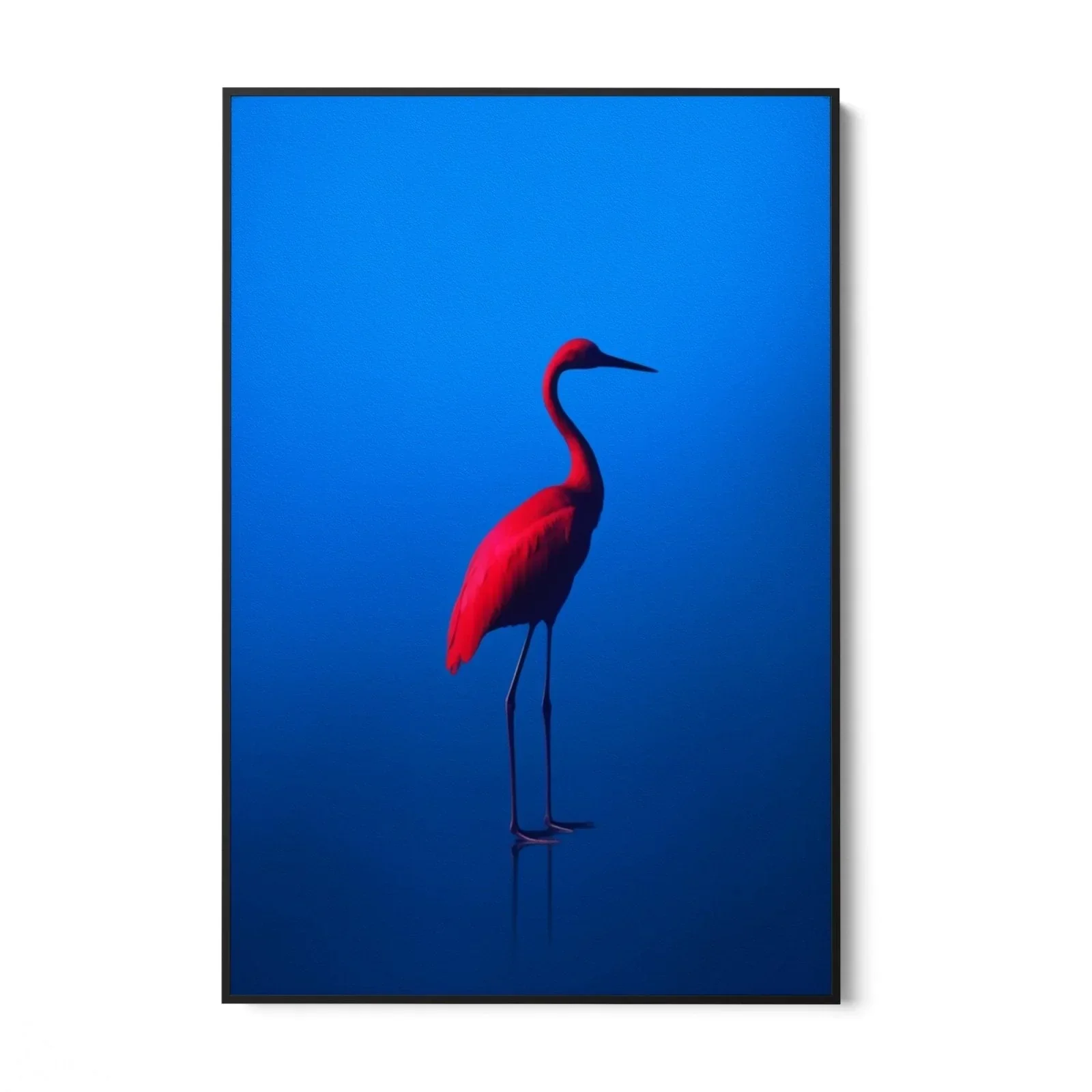 Rosso Blu - Image 4