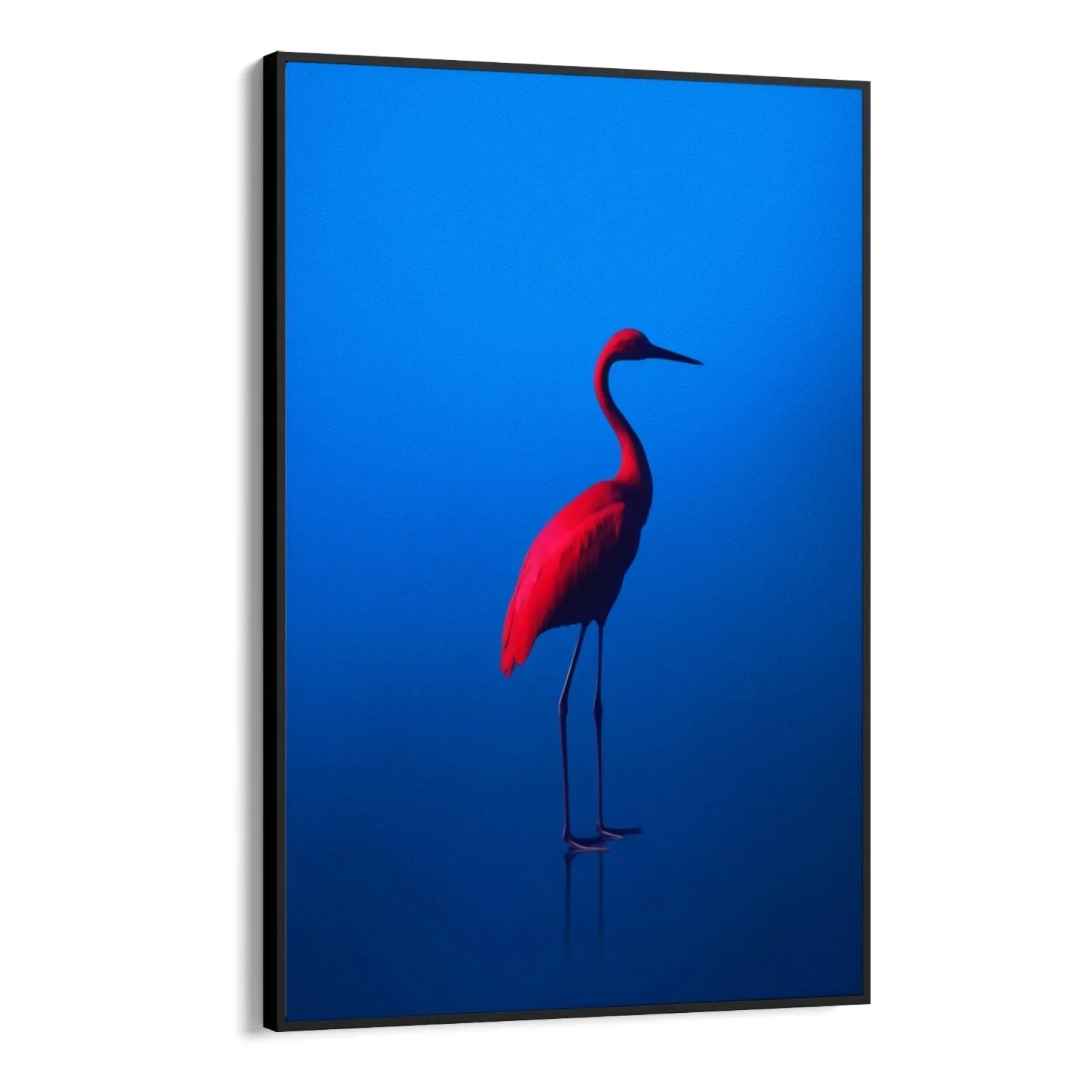 Rosso Blu - Image 5