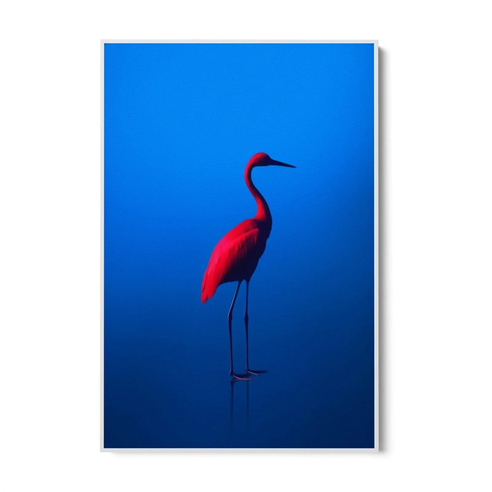 Rosso Blu - Image 8