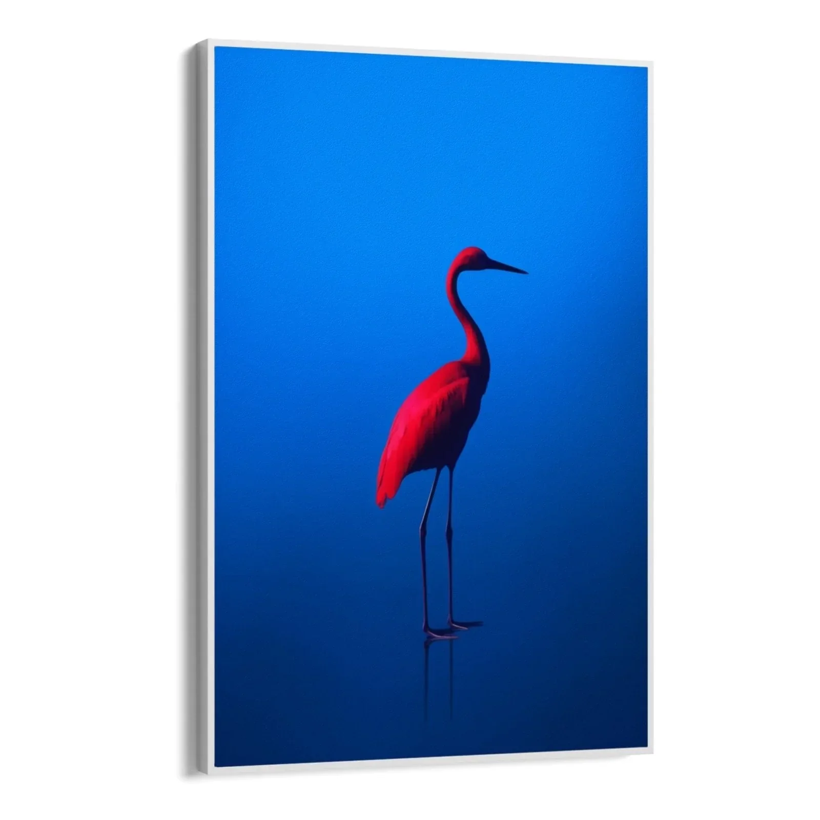 Rosso Blu - Image 9
