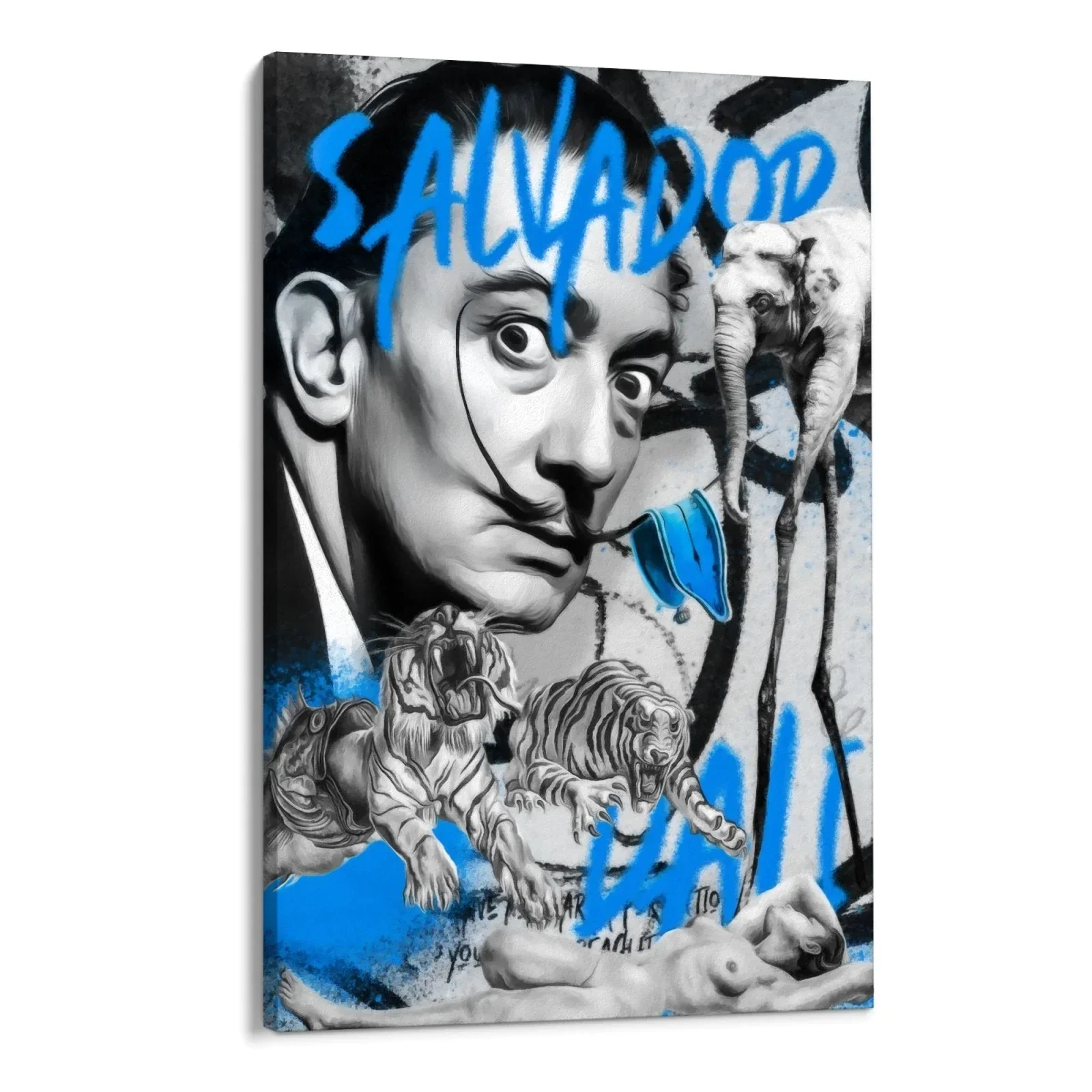 Salvador Dalì Graffiti - Image 5