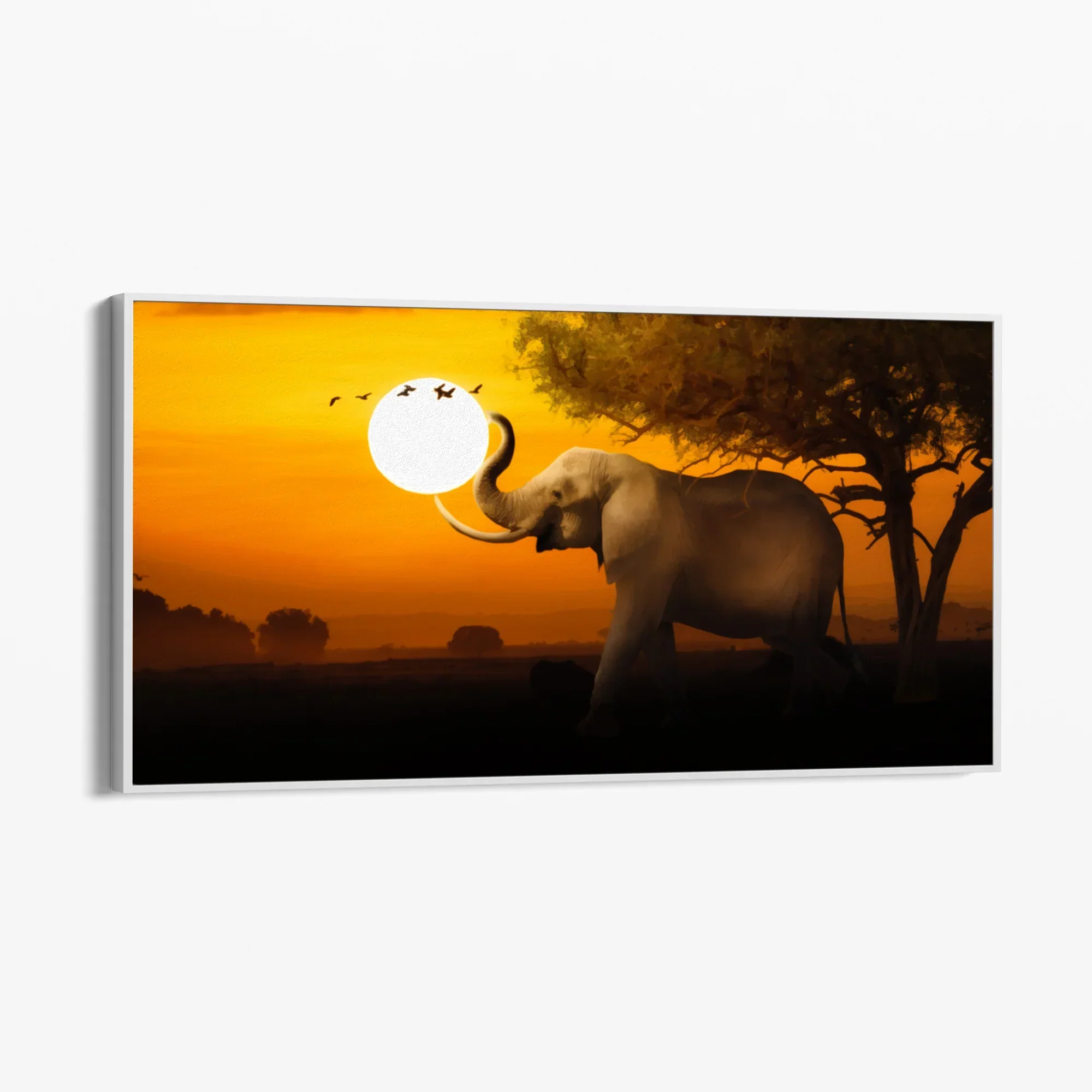 Silenzio d'Africa - Image 11