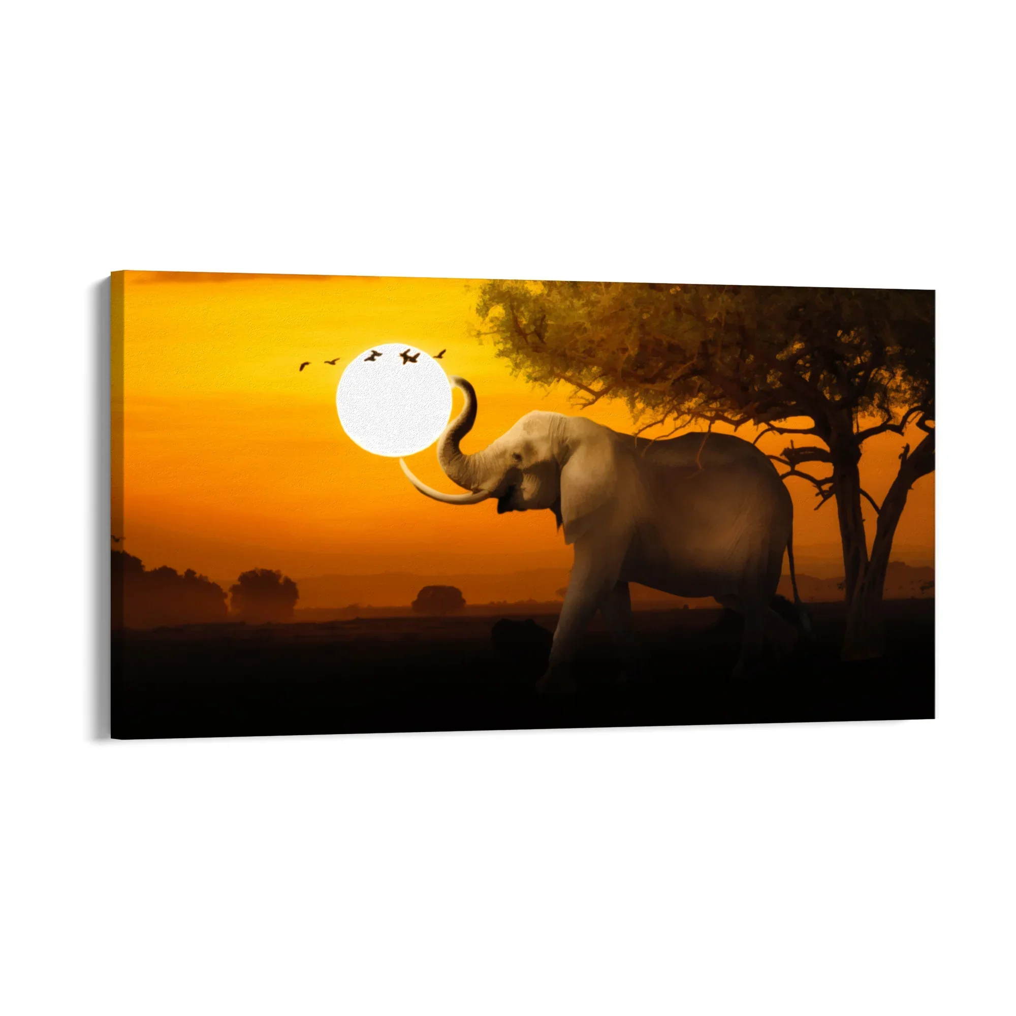 Silenzio d'Africa - Image 8