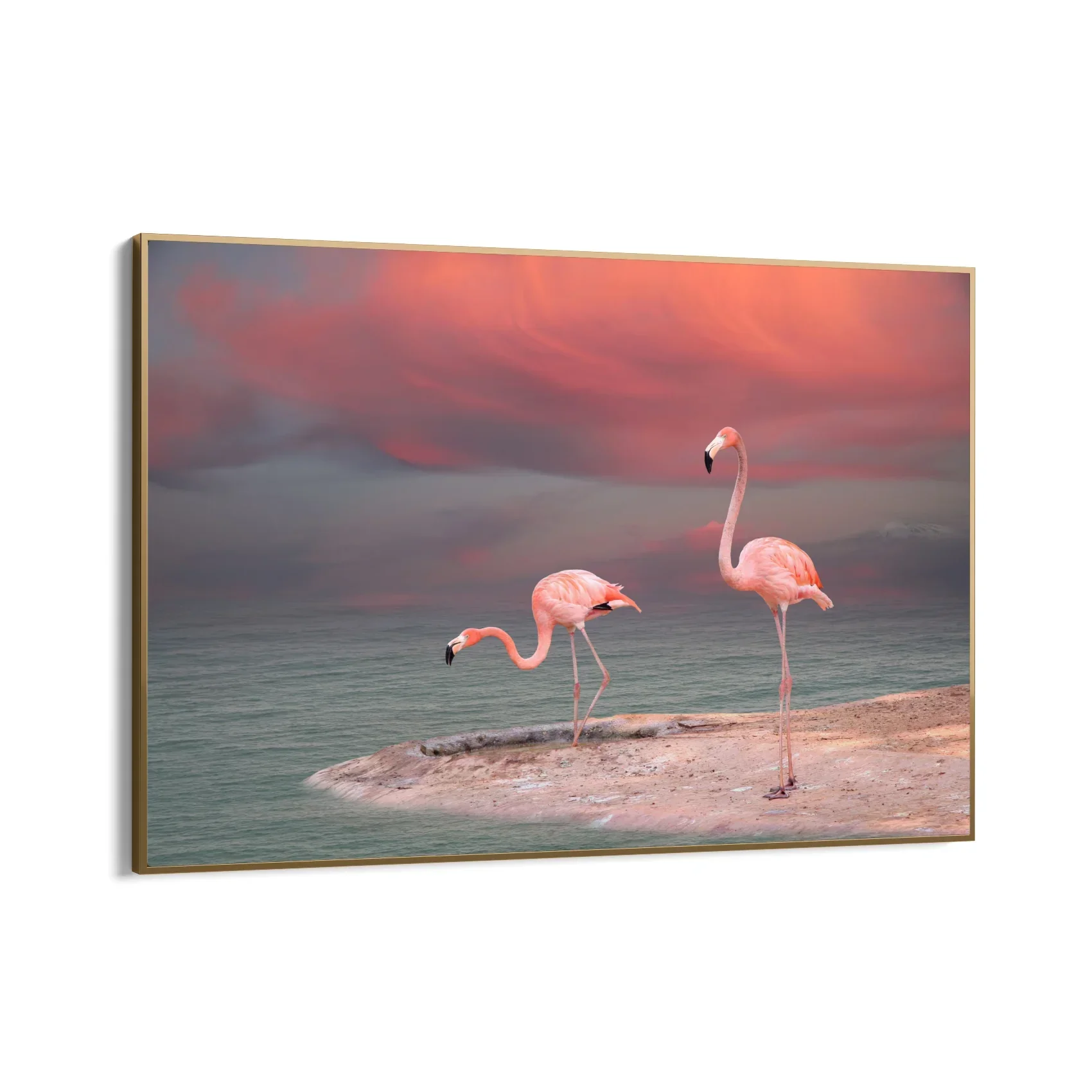 Sogno tropicale - Image 10