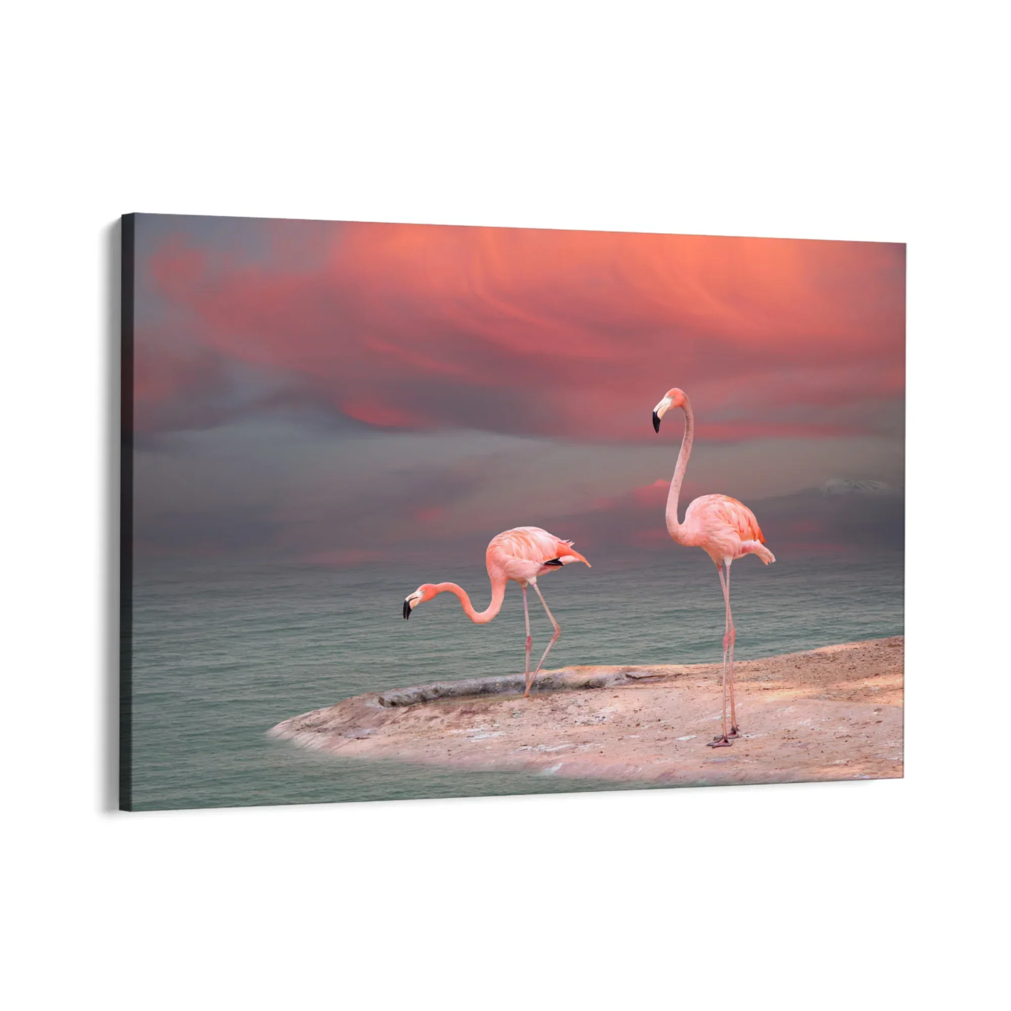 Sogno tropicale - Image 8