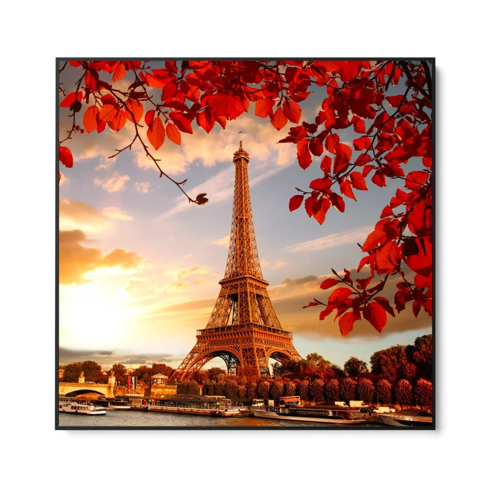 Torre Eiffel tra le Foglie d'Autunno, Parigi - Image 5