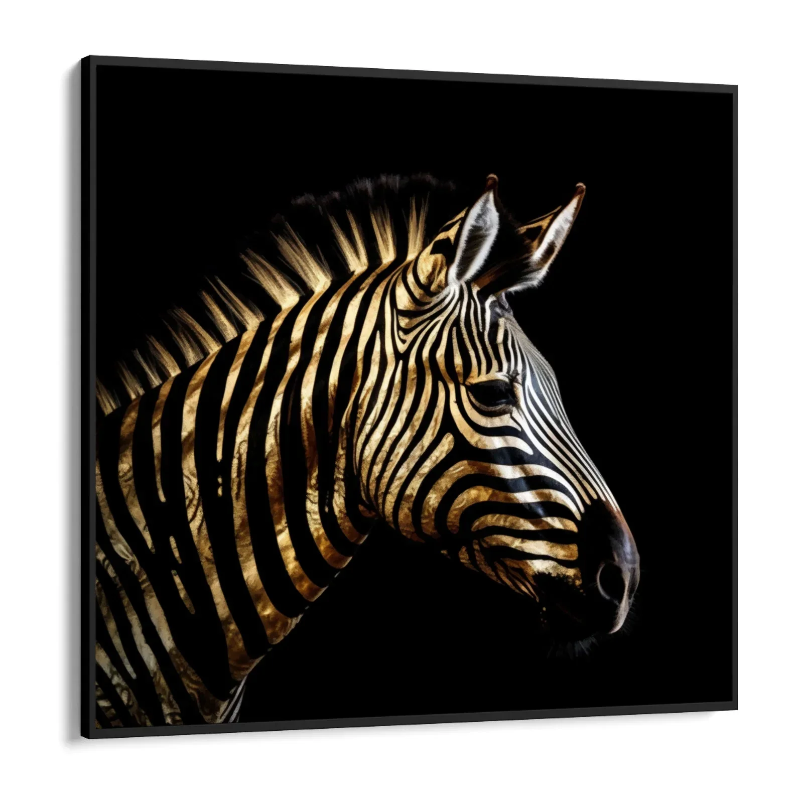 Zebra Dorata - Image 7